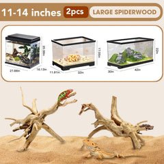 Jorewood spiderwood driftwood branch 11-14 inch for terrarium, offers climbing surface for reptiles.