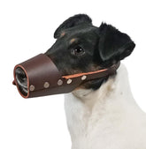JorVet medium leather dog muzzle with secure fit for safer walks.