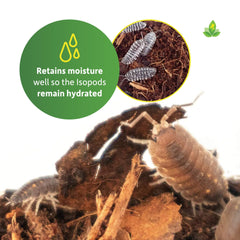 Josh's Frogs Isopod Substrate with hardwood pieces supports foraging and munching.