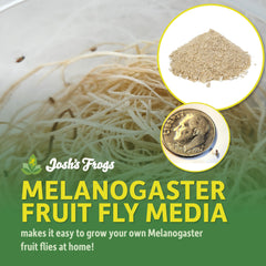 Josh's Frogs Best Melanogaster media in a compact volume ready for multiple cultures.