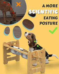 Jovrun adjustable height steps show six levels to fit growing pets