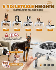 Jovrun dog bowls stainless steel dishes highlight durable, dishwasher-safe design for clean meals