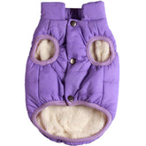 JoyDaog 2-layer fleece-lined dog jacket front view keeps your dog warm in winter.