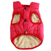 JoyDaog 2 layers fleece lined jacket front view keeps tiny dogs warm