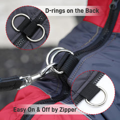 JoyDaog coat with back D-rings for secure leash attachment