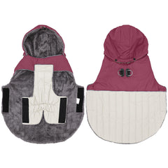JoyDaog dog wearing coat shows the harness integration in action.
