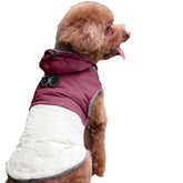 JoyDaog detachable hooded coat with harness—hood on for extra warmth on walks.