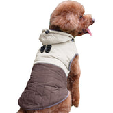 JoyDaog detachable hooded coat with harness provides cozy warmth during cold walks