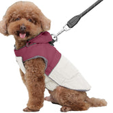 JoyDaog detachable hooded dog coat presents a snug, wind-blocking fit for chilly walks.