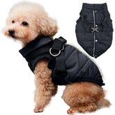 JoyDaog dog jacket front view with harness for secure winter walks.