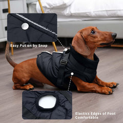JoyDaog jacket harness close-up illustrating comfort and durable stitching.