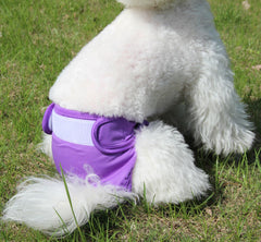 JoyDaog XL fit large-dog diapers with secure waist for big dogs.