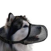 JOYPAWS basket muzzle with breathable air mesh keeps extra large dogs cooler on walks.