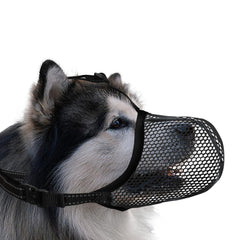 JOYPAWS basket muzzle with breathable air mesh keeps extra large dogs cooler on walks.