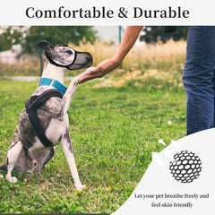 JOYPAWS extra-large muzzle with adjustable fit supports secure, comfortable training.