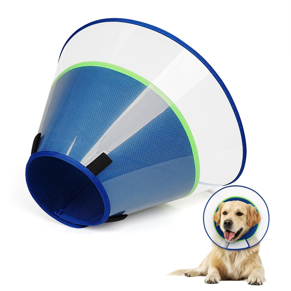 Joypig dog cone collar XS with soft liner blocks licking after surgery.