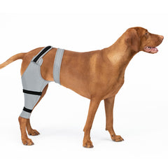 Joypig rear leg sleeve close-up shows soft fabric for all-day comfort