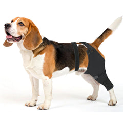 Joypig sleeve on a dog's rear leg showing post-surgery wear and licking protection.