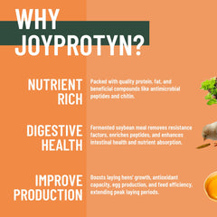 Joyprotyn BSFL powder close-up highlighting 43% protein for healthy growth