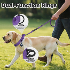 Joytale AirTag case attached to collar for tracking and safety
