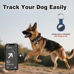 Joytale AirTag case on collar for tracking