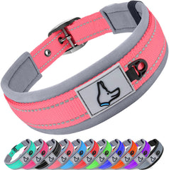 Collar Joytale para perros grandes con neopreno acolchado, comodidad durante caminatas.