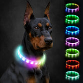 Collar Joytale con luz LED, alta visibilidad para paseos nocturnos seguros.