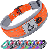 Joytale dog collar large neoprene padding provides soft comfort during daily walks.