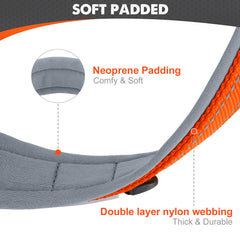 Joytale collar with 360-degree reflective stitching for safe night strolls.