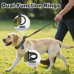 Joytale dual-ring collar provides secure leash options for powerful dogs.