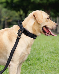 Joytale durable nylon collar close-up highlights rugged construction for strong breeds.