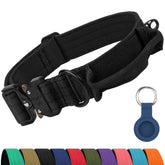 Joytale heavy-duty dog collar buckle for quick-release safety