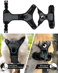 Joytale No Pull Harness back clip gray offers steady leash control.