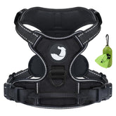 Joytale No Pull Harness front clip for small dogs improves walk control