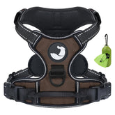 Joytale No Pull Harness front-clip for controlled walking and reduced pulling
