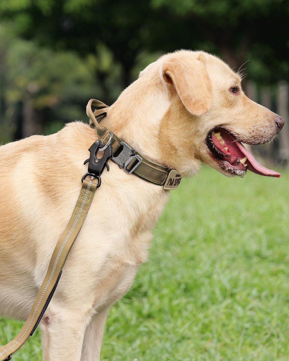 Joytale tactical dog collar dual nylon layers highlight durability for powerful canine.