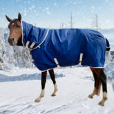 Jranter 1200D winter turnout blanket back view shows rugged waterproof protection for outdoor turnout.