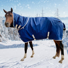 Jranter 1200D winter turnout blanket back view shows rugged waterproof protection for outdoor turnout.