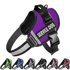 JSXD dog harness with breathable nylon material for comfortable all-day wear.