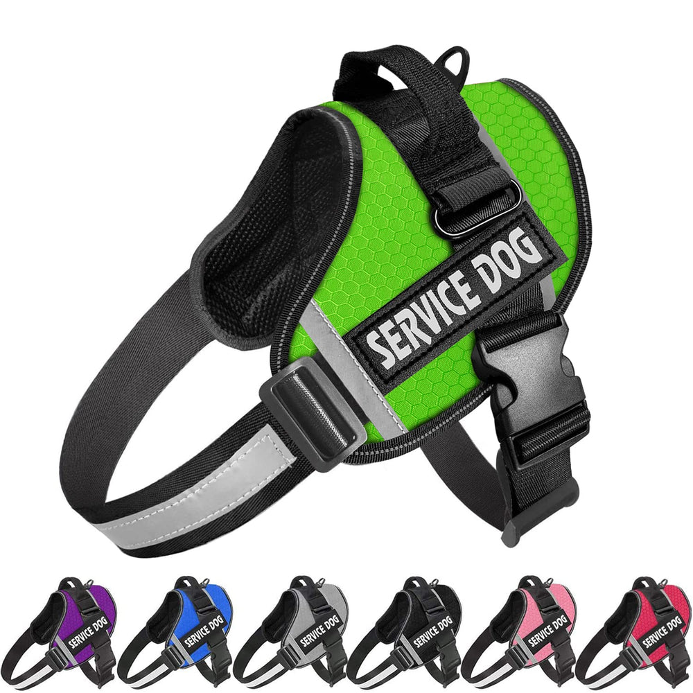 JSXD dog harness close-up showing no-pull design for safe, controlled walks