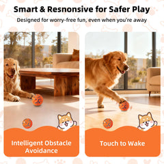 JUBBPDX Interactive Dog Ball demonstrates gentle mode for calm indoor use.