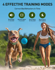 Jugbow IPX8 waterproof collar demonstrates durable training gear for all-weather outdoor sessions.
