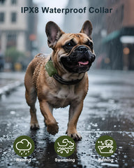 Jugbow dog collar 4500ft range supports off-leash training in parks and beaches.