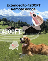 Jugbow dog collar waterproof pink ready for rain and adventures.