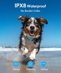 Jugbow IPX8 waterproof collar resists rain during outdoor sessions.