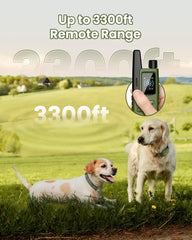 Jugbow IPX7 waterproof receiver withstands rain and splashes for versatile training.