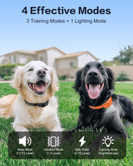 Jugbow LED light enhances night visibility for safer dog training sessions.