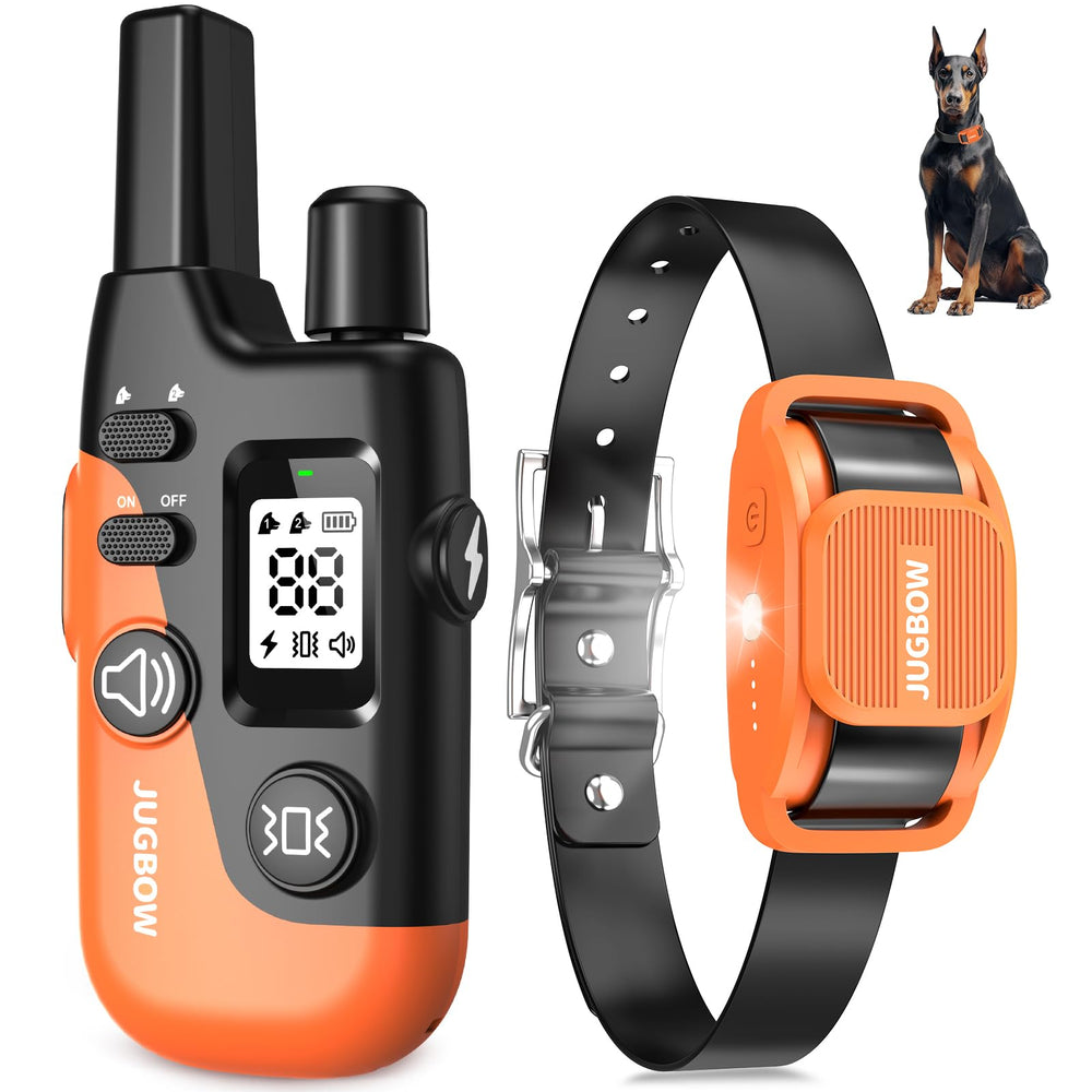 Jugbow Shock Collar neckband-setup demonstrates adjustable fit for comfortable long-term wear