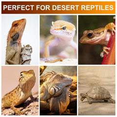 Jugbuy UVB Reptile Light Bulb 10.0 offers long-lasting lighting in reptile habitats