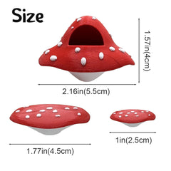 Julang jumping spider platform 1.7in mushroom surface ideal for mid sized enclosures.